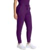 Healing Hands Joggers Scrub Pants for Women Mid-Rise Bottoms with Bekah Drawstring HH155(Eggplant)