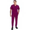 Healing Hands Men’s Scrub Jogger Pants Dante with 4 Pockets, 2-Way Stretch, and Durable Fabric 9301(Wine)