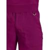 Healing Hands Men’s Scrub Jogger Pants Dante with 4 Pockets, 2-Way Stretch, and Durable Fabric 9301(Wine)
