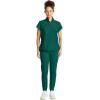 Healing Hands Scrubs for Women Scrub Top with Zip Stand Collar 360° Stretch HH752(Hunter)