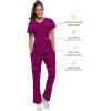 Healing Hands Womens Scrub Top 3 Pocket V-Neck Lightweight Breathable Fabric Scrub Tops for Women HH360 2284 Serena(Wine)