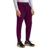 Healing Hands Men’s Scrub Pant Nolen Jogger with 6 Pocket, Moisture Wicking, 360° Stretch & Recycled Fibers 9172(Wine)