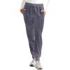 Healing Hands Women’s Scrub Jogger Pant Naya with 6 Pockets, Moisture Wicking, 360° Stretch & Recycled Fibers – 9156(Pewter)